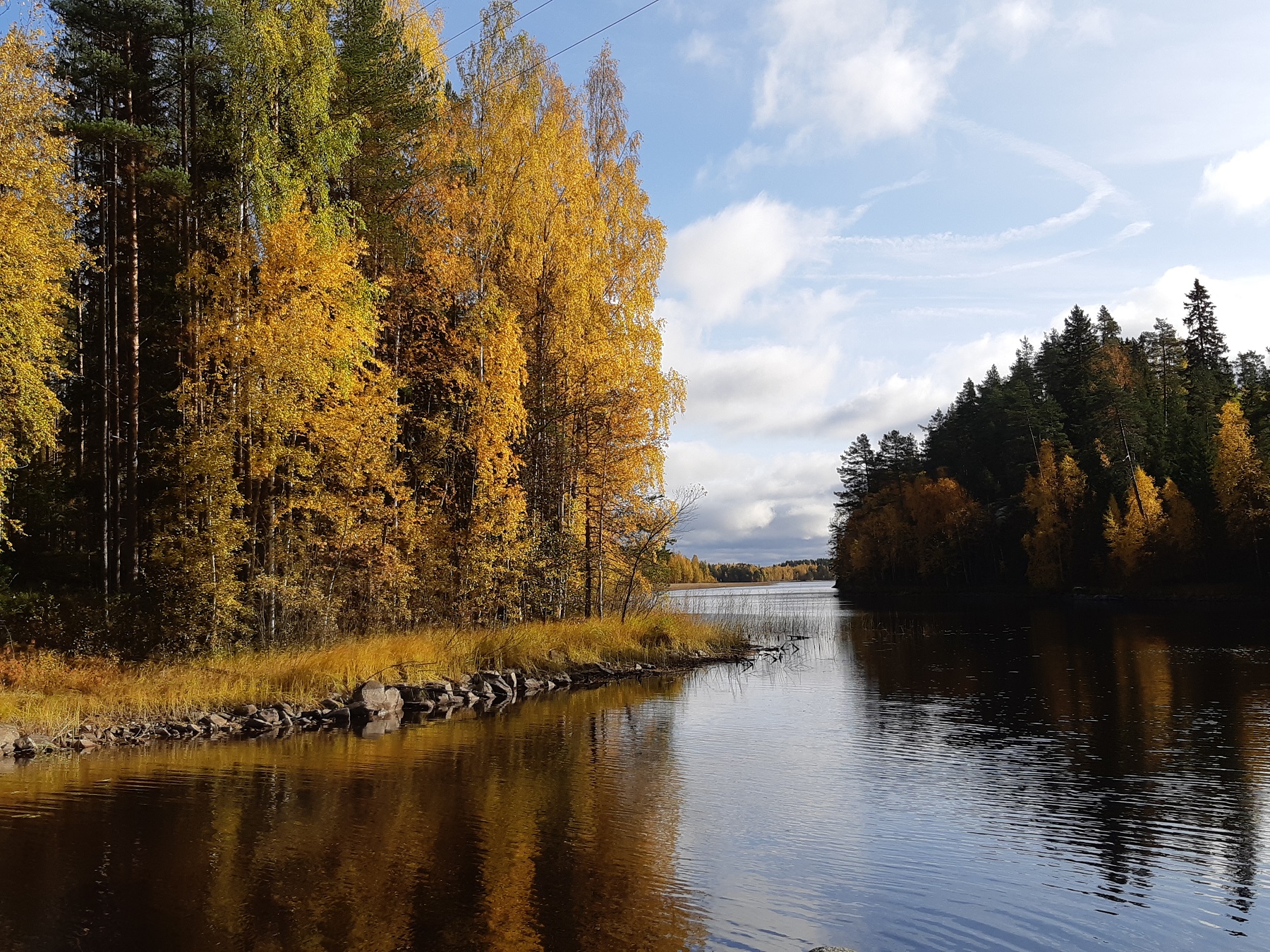 tyyni päivä
