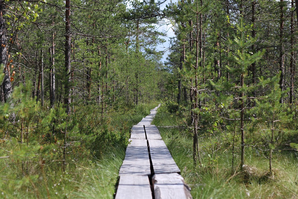 polku