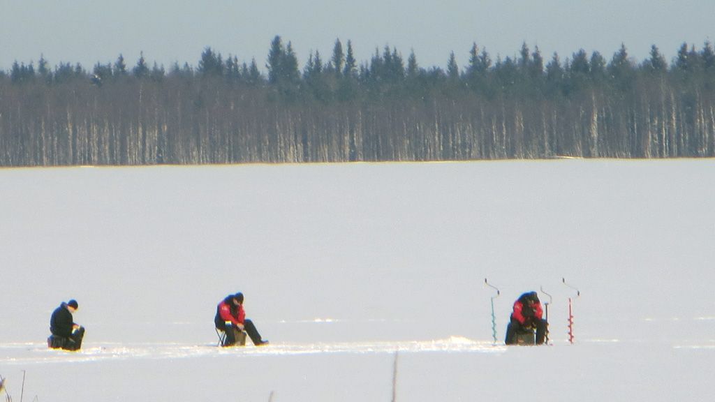 Sasin pilkkikilpailut