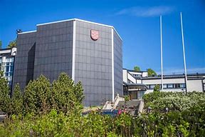 viitasaari