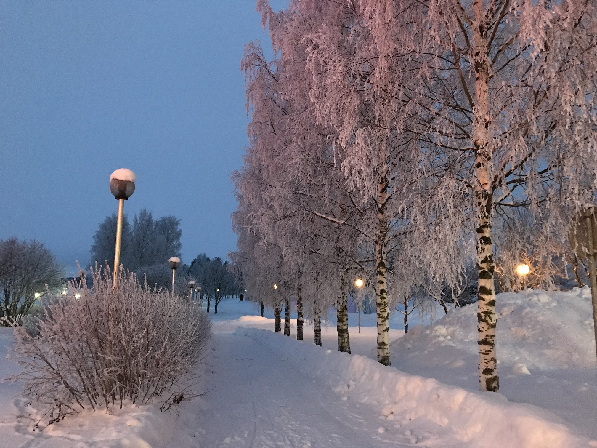 Lappajärvi talvikuva kuvituskuva