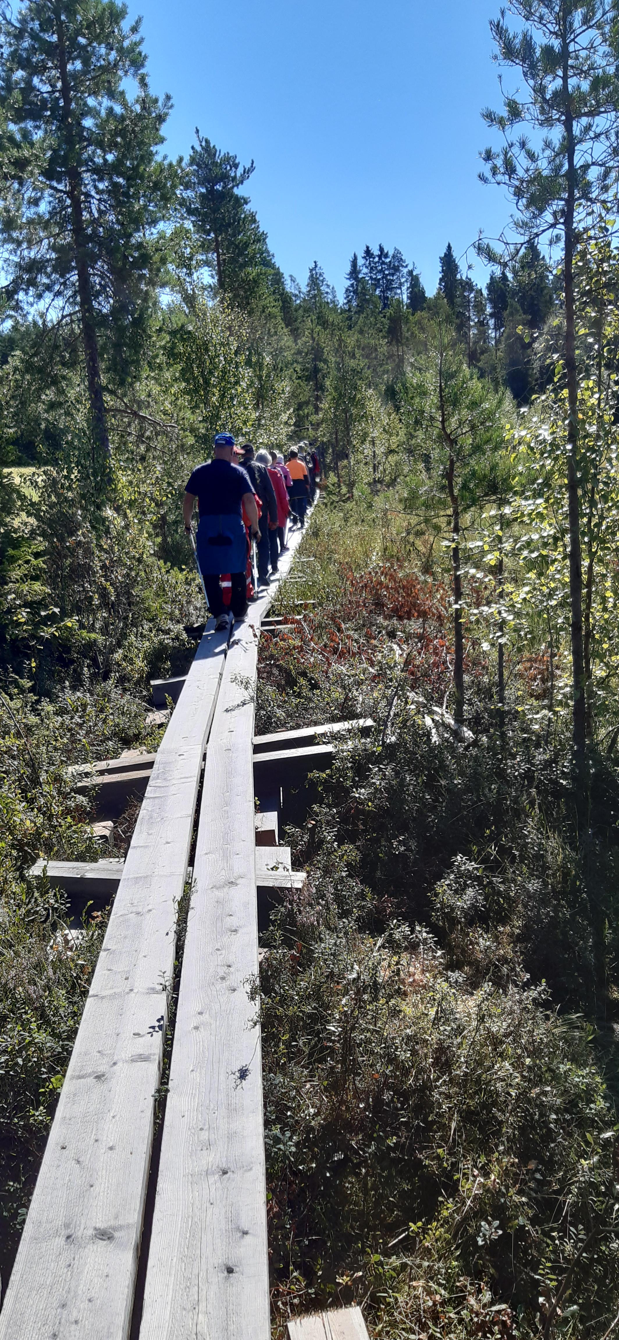 Kotojärven kierros