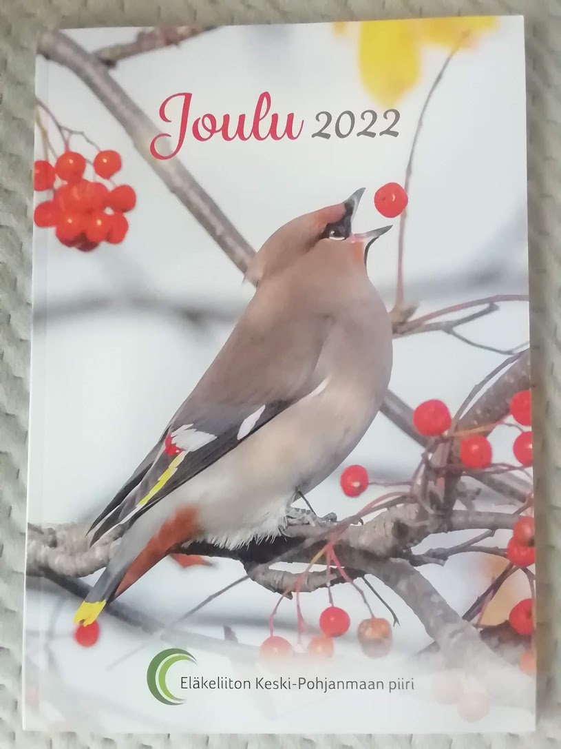 tilhi syömässä pihlajanmarjoja