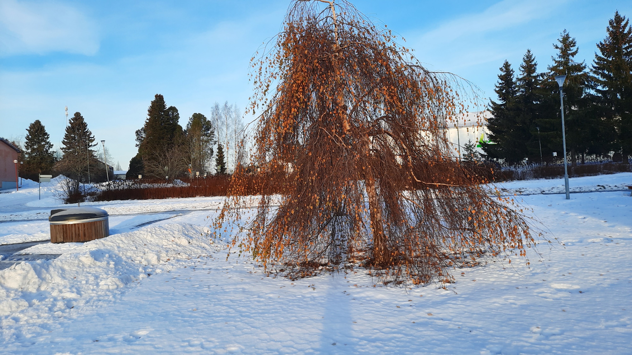 Lappajärvi talvikuva 5