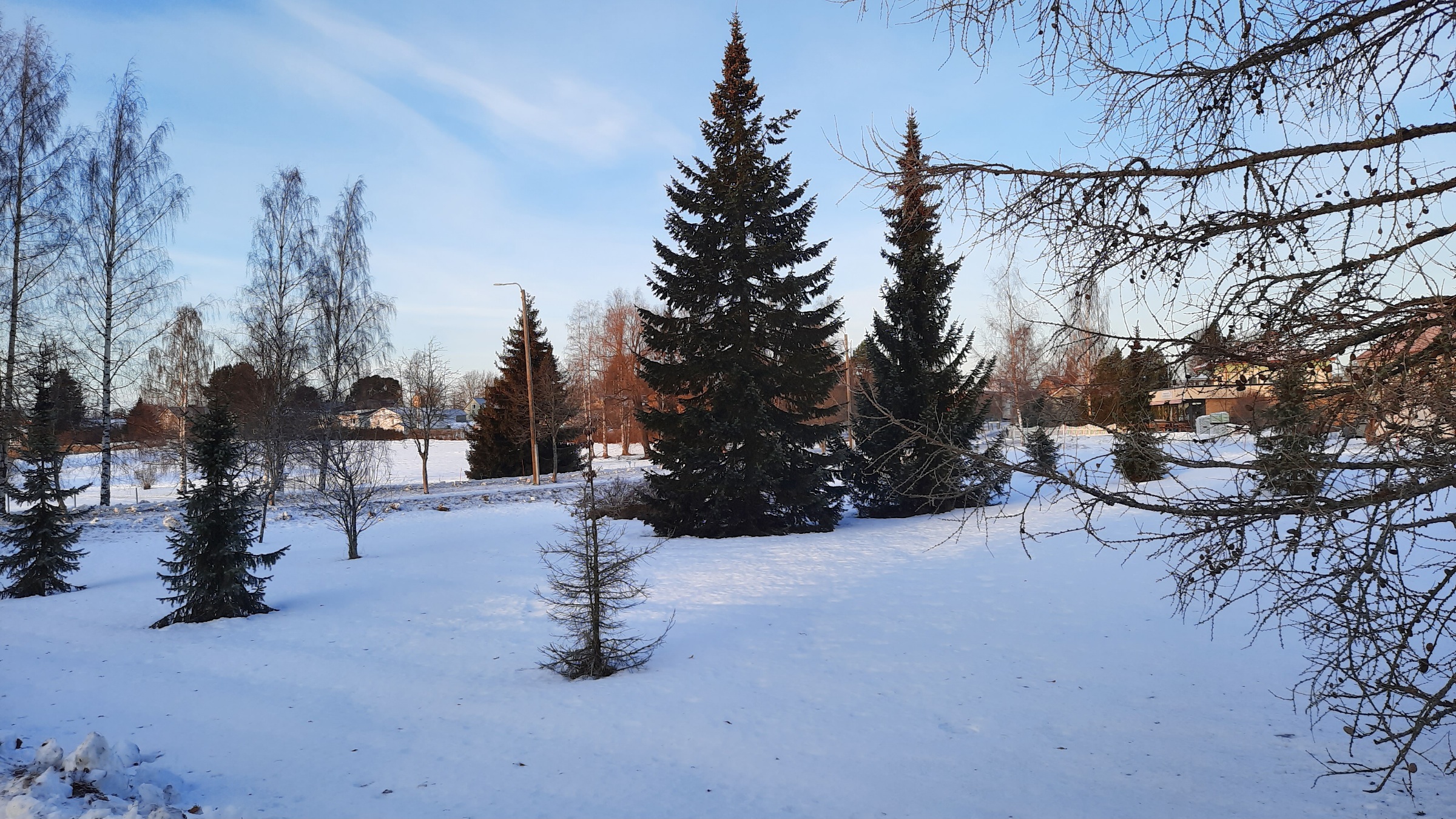 Lappajärvi talvikuva 6