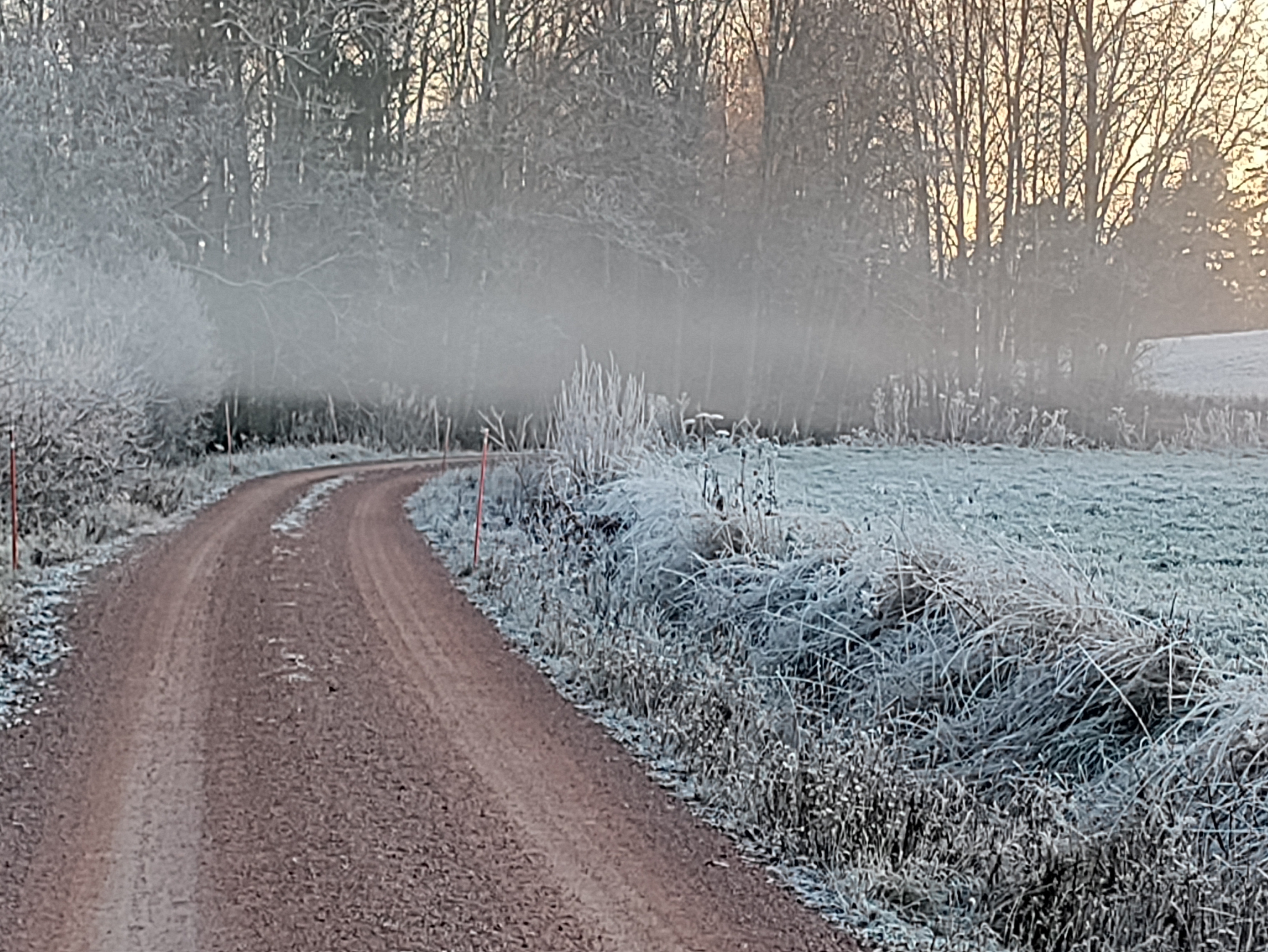 Sumuinen tie Ikaalisissa