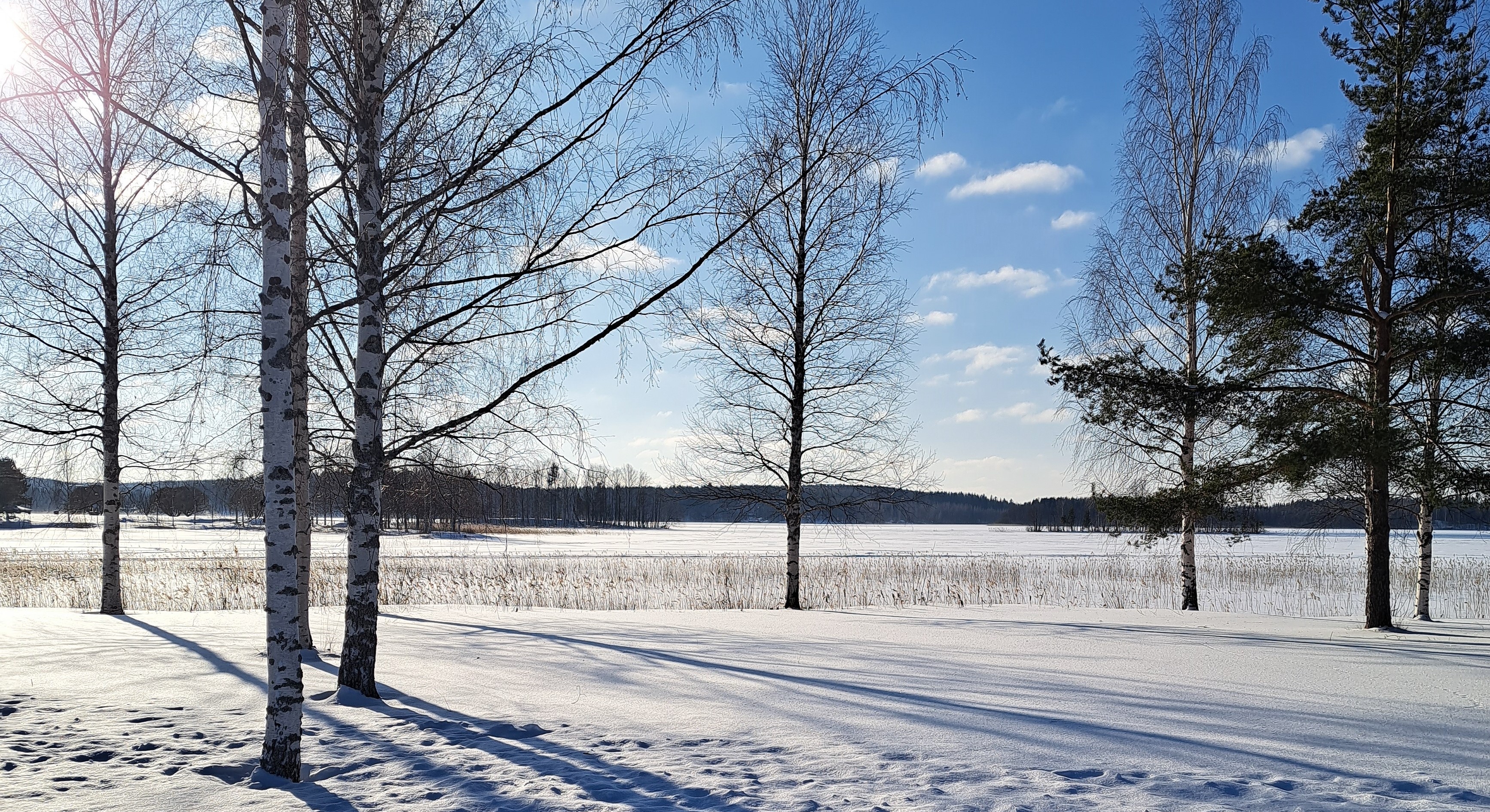 Aurinkoinen talvipäivä