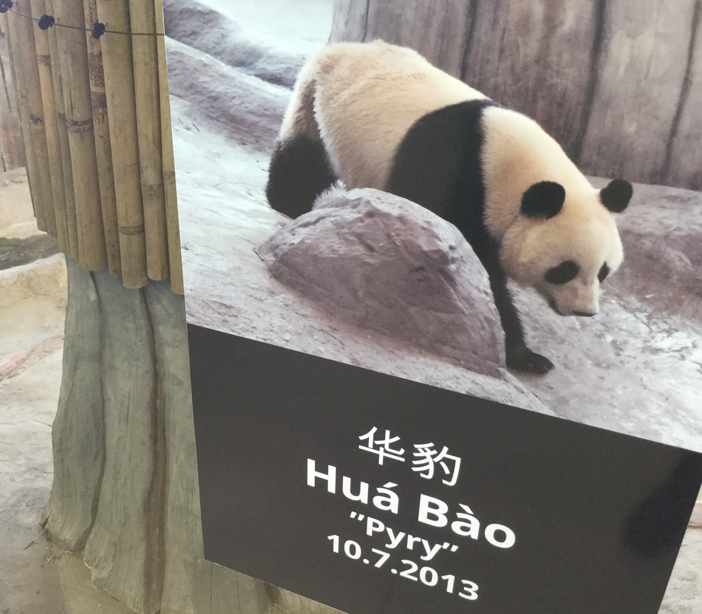 Tampere Panda