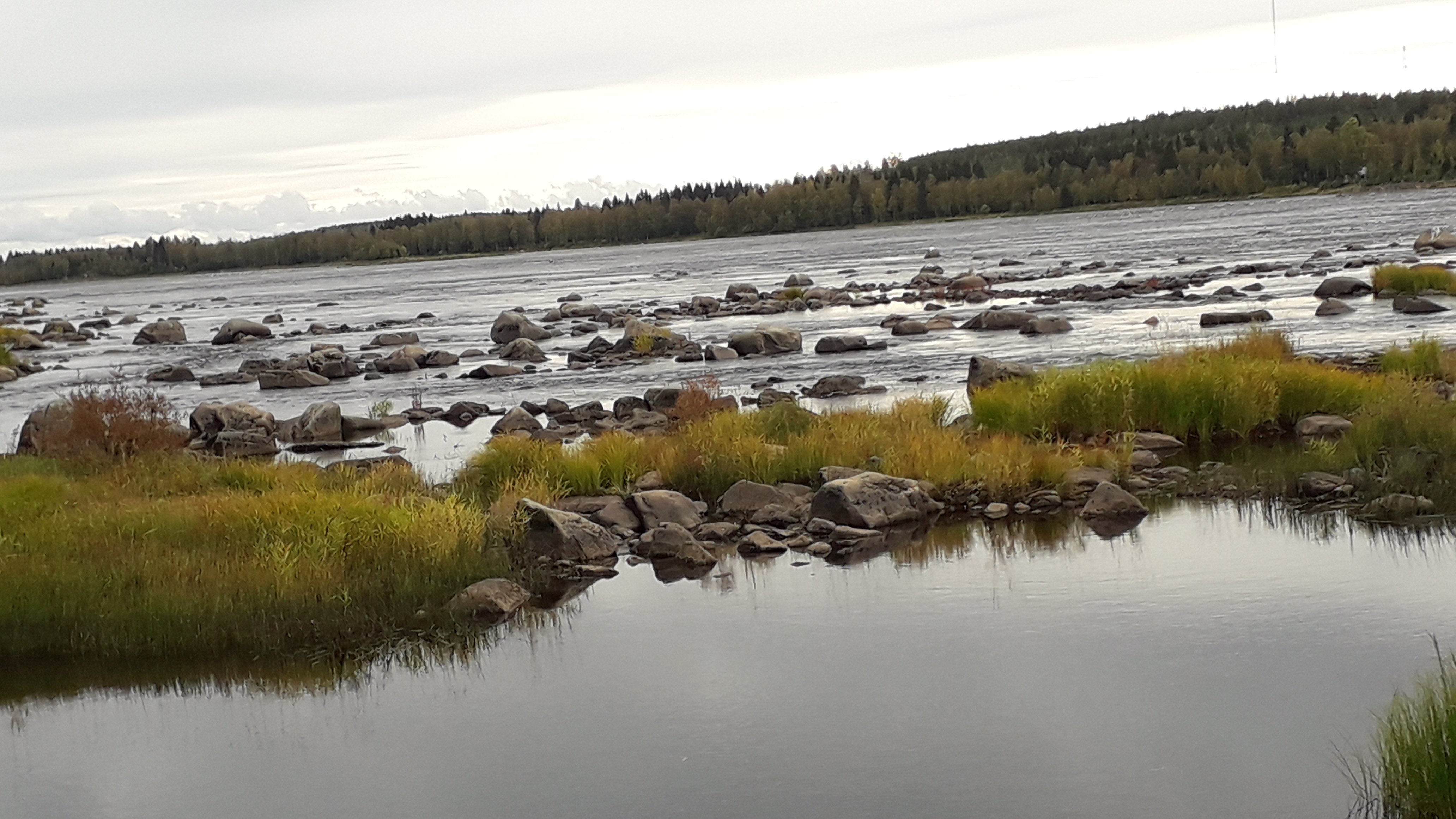 Kukkolankoski