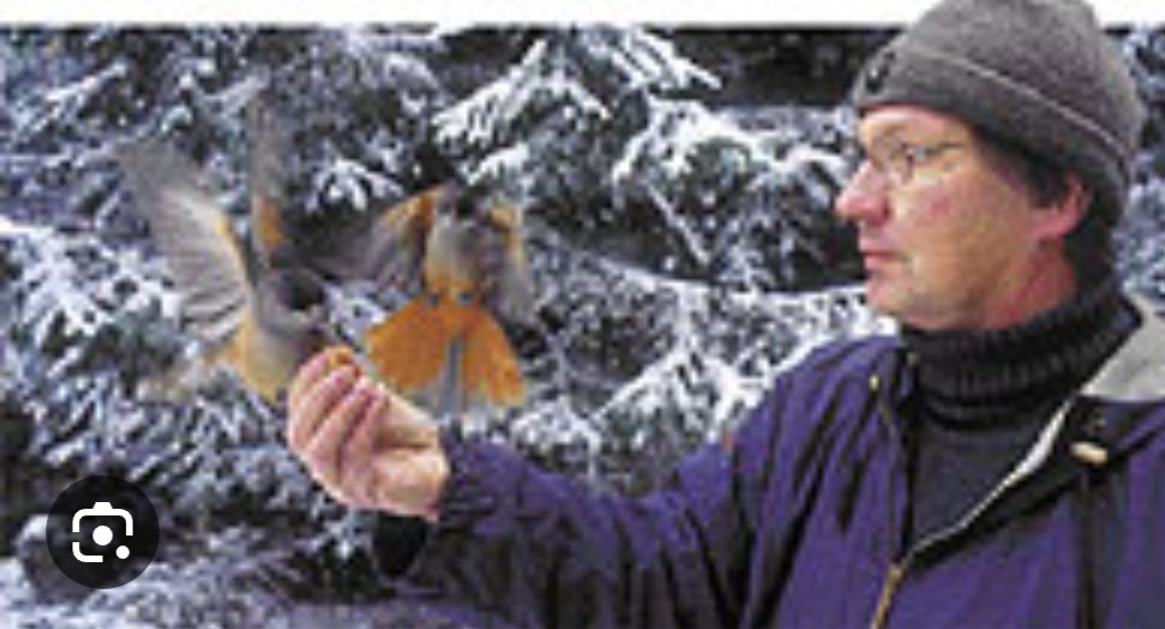 Kuukkelin vuosi