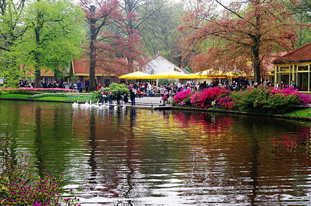 NL-Keukenhof