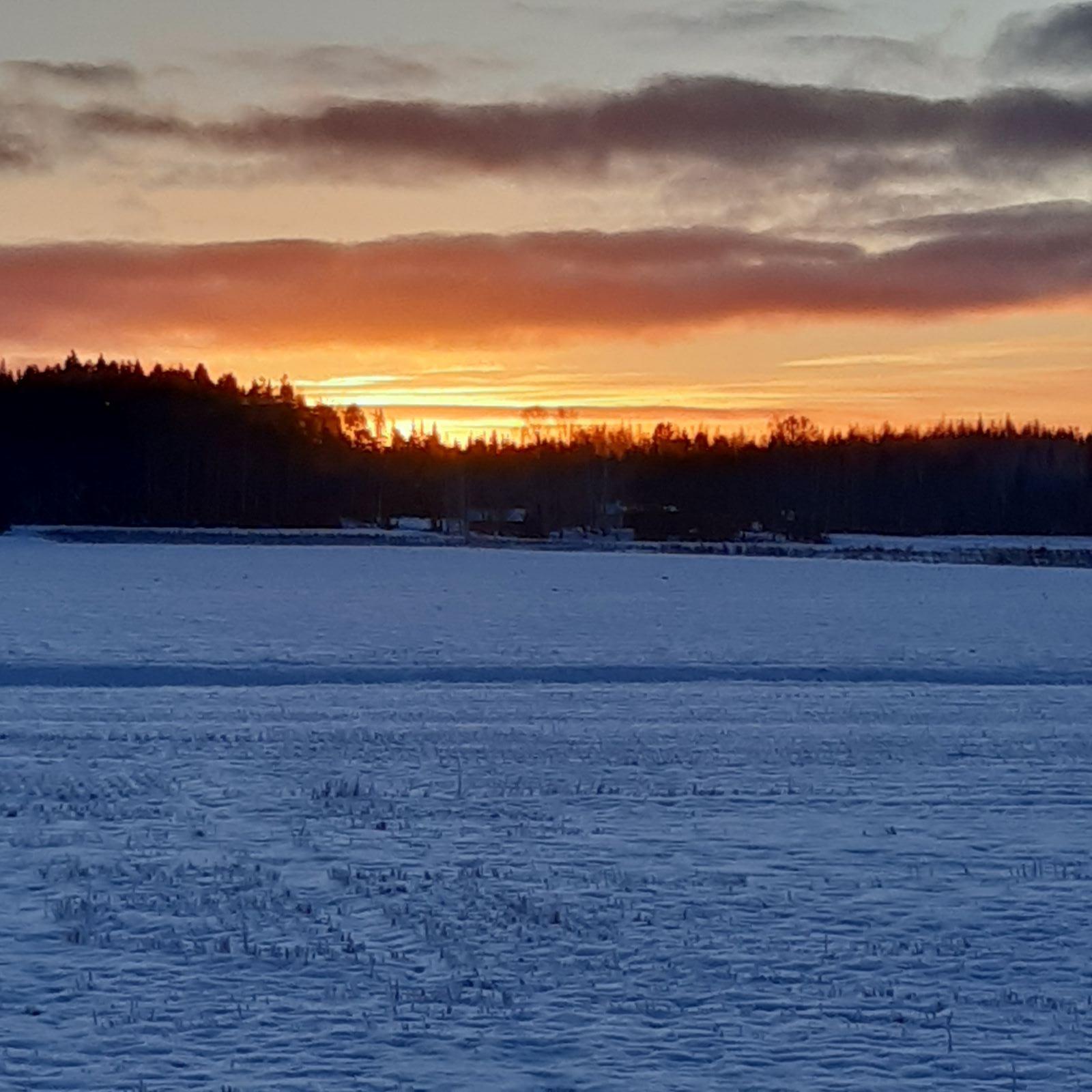 Talvimaisema aurinkoineen