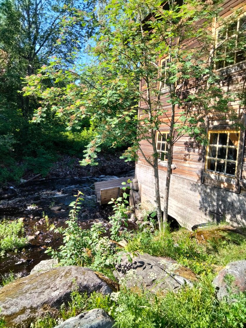 oma kuva
