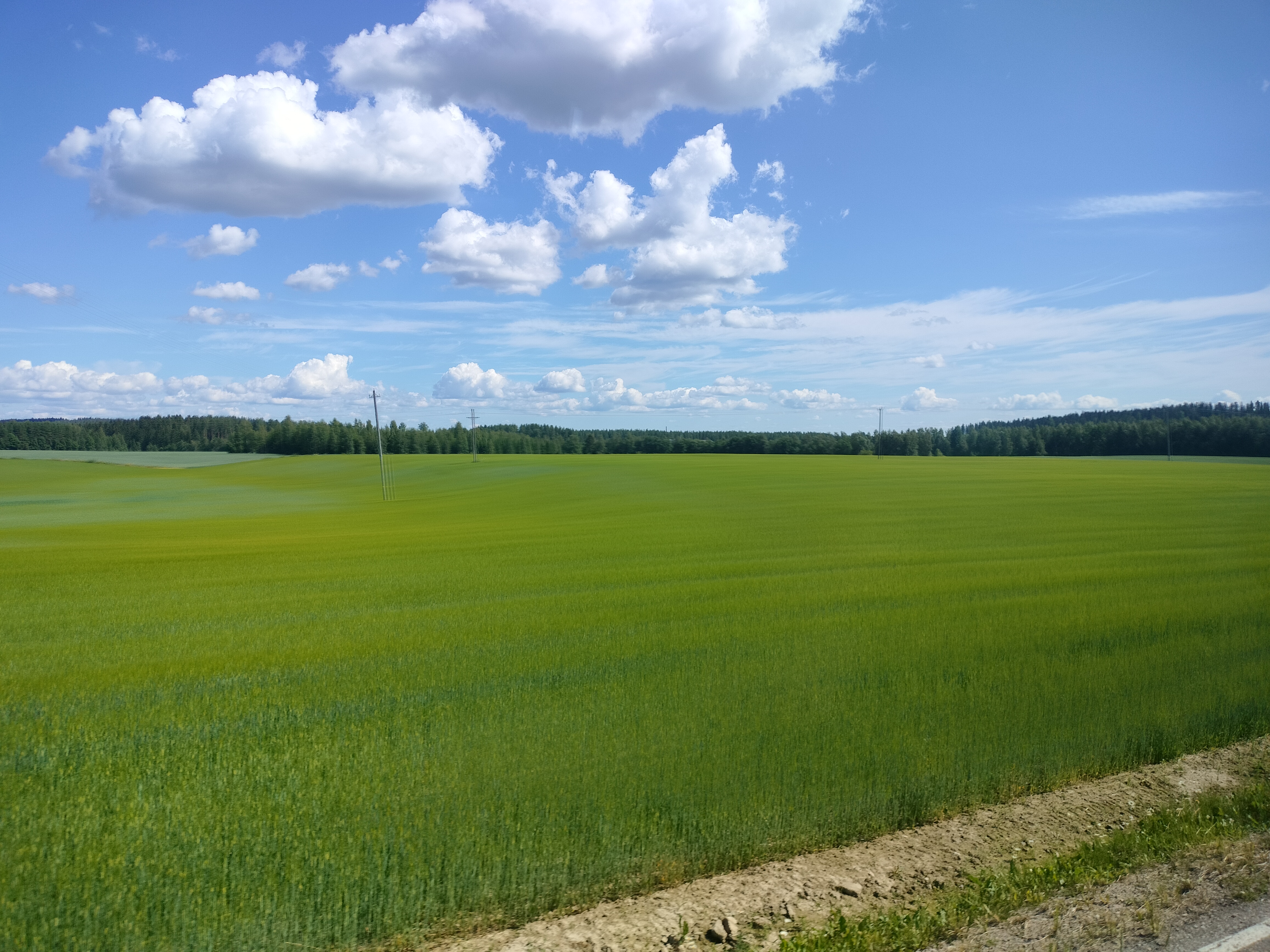 kesäinen pelto ja taivas