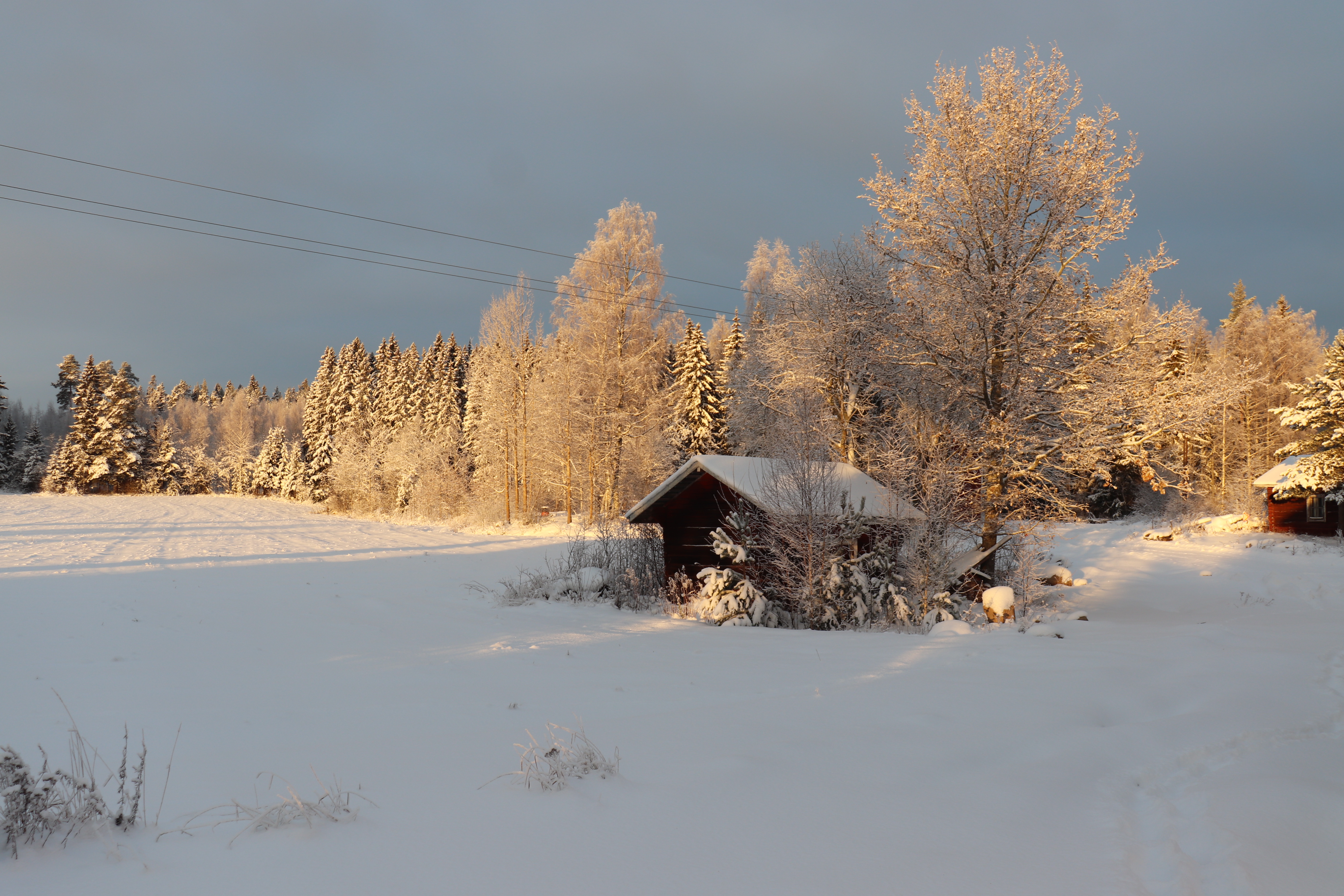 Talvimaisema