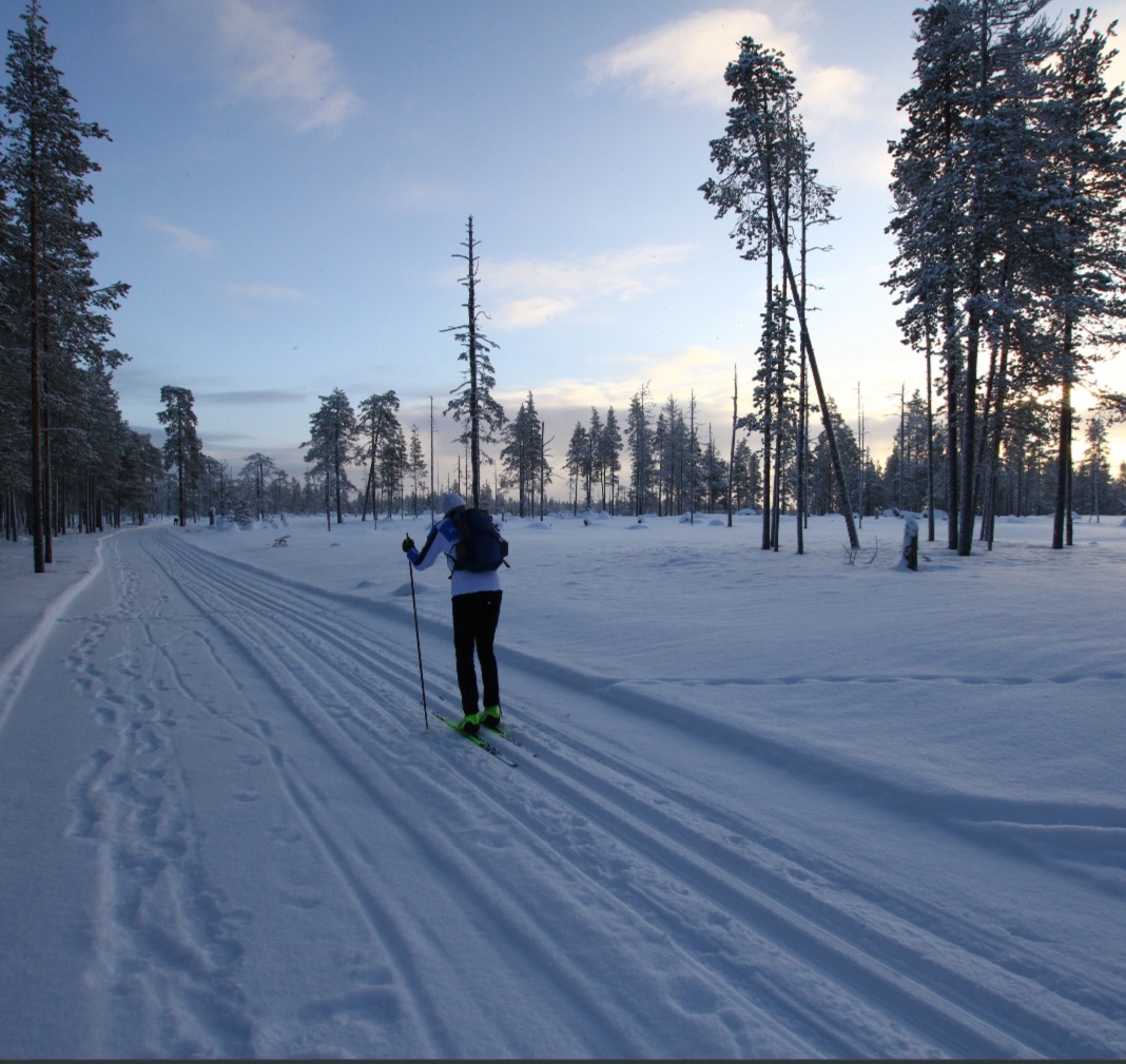 Punkaharju