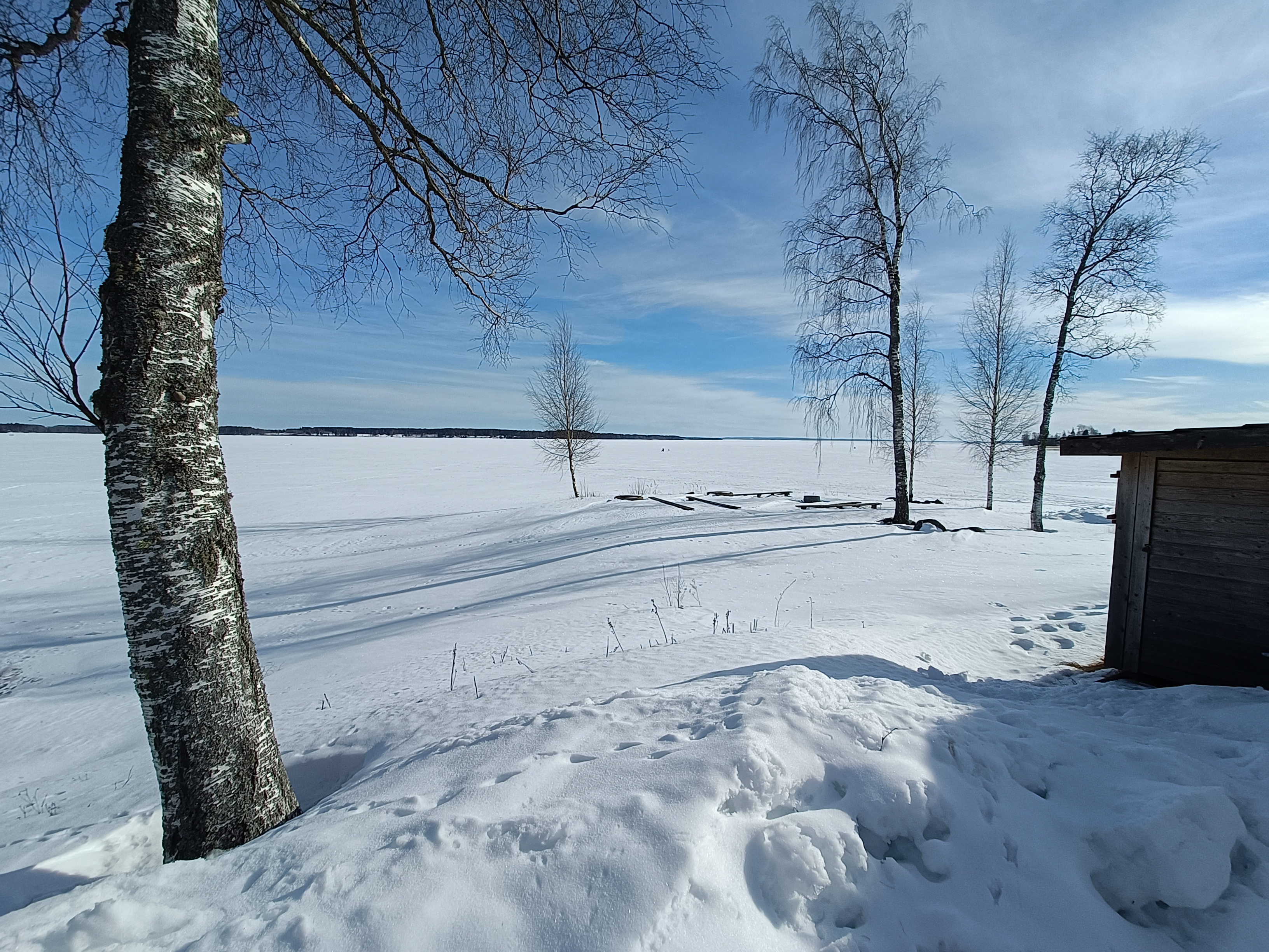 Tarvolan ranta