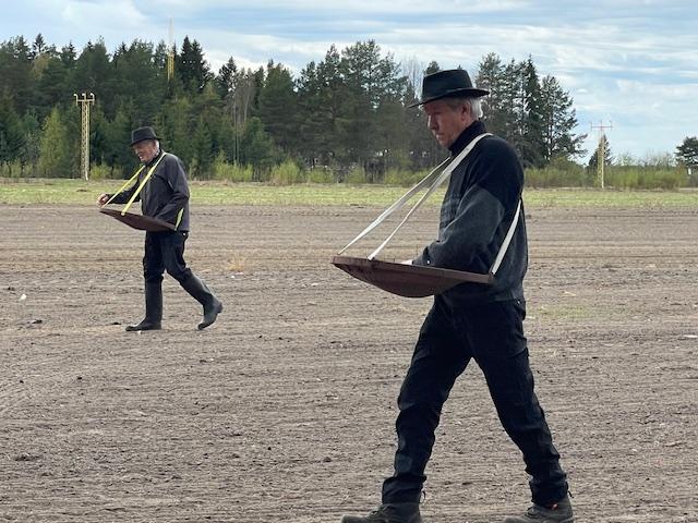 Kylväjät pellolla