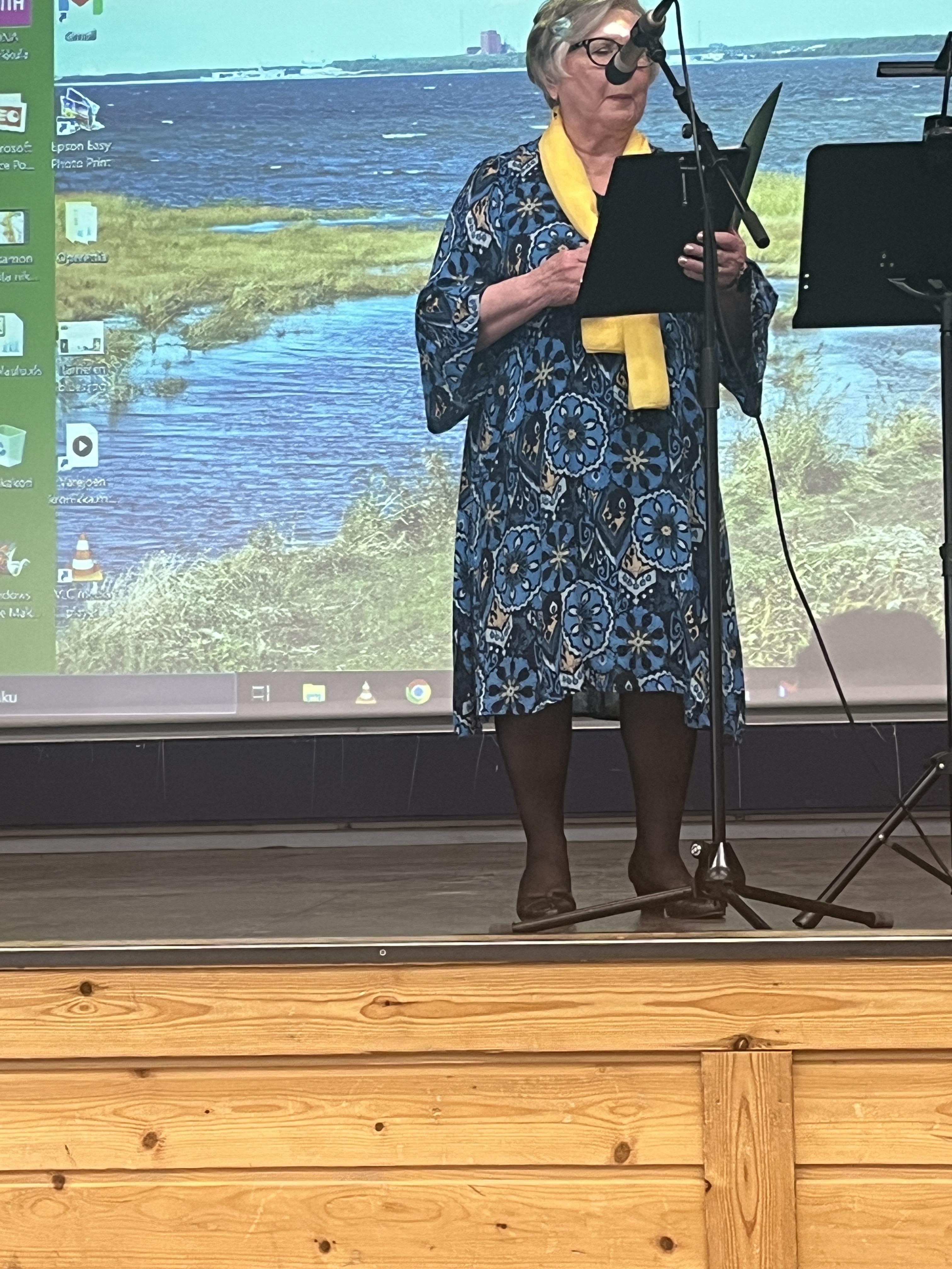 Riitta lausuntaa