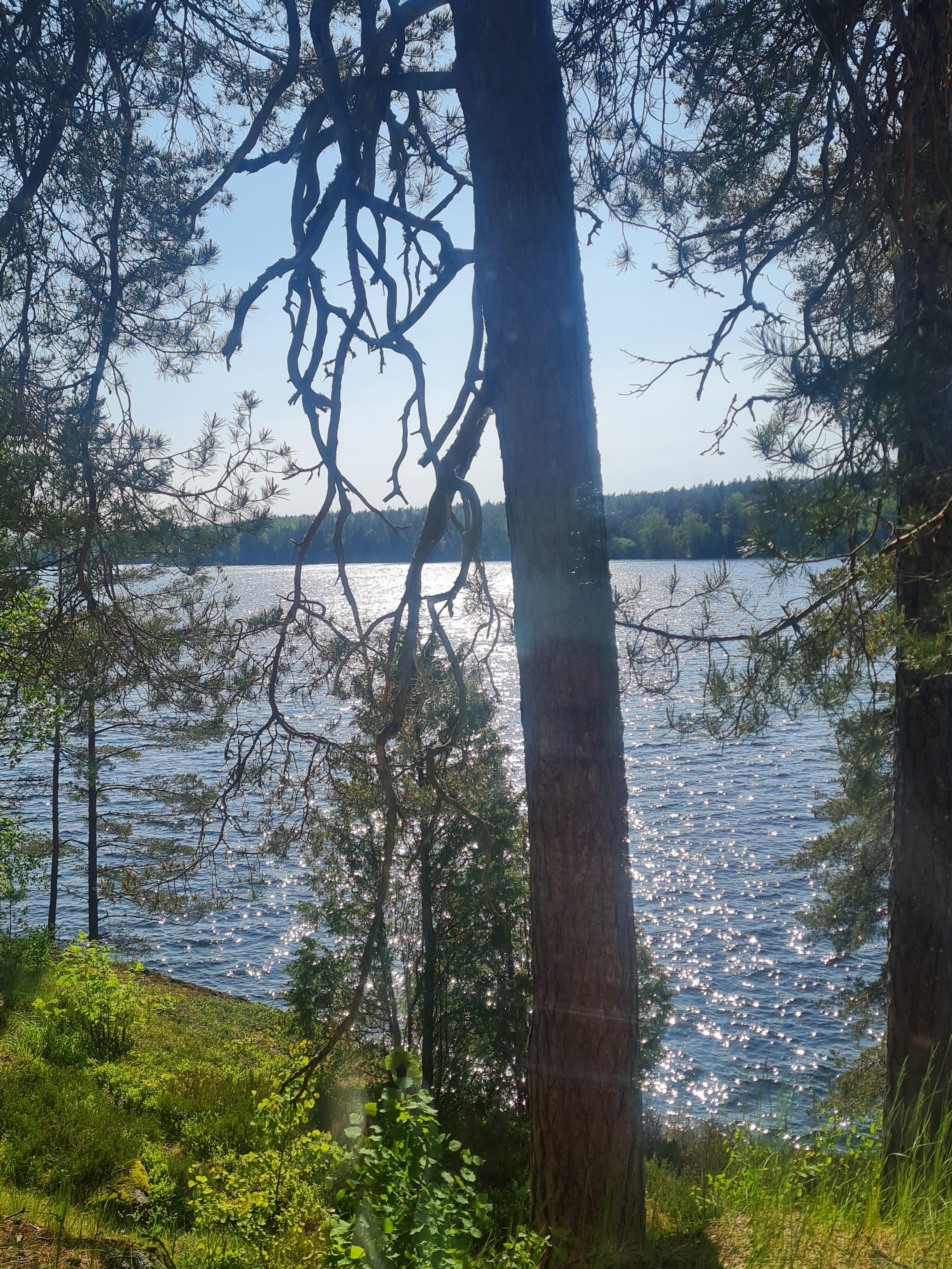 Lehmijärvi