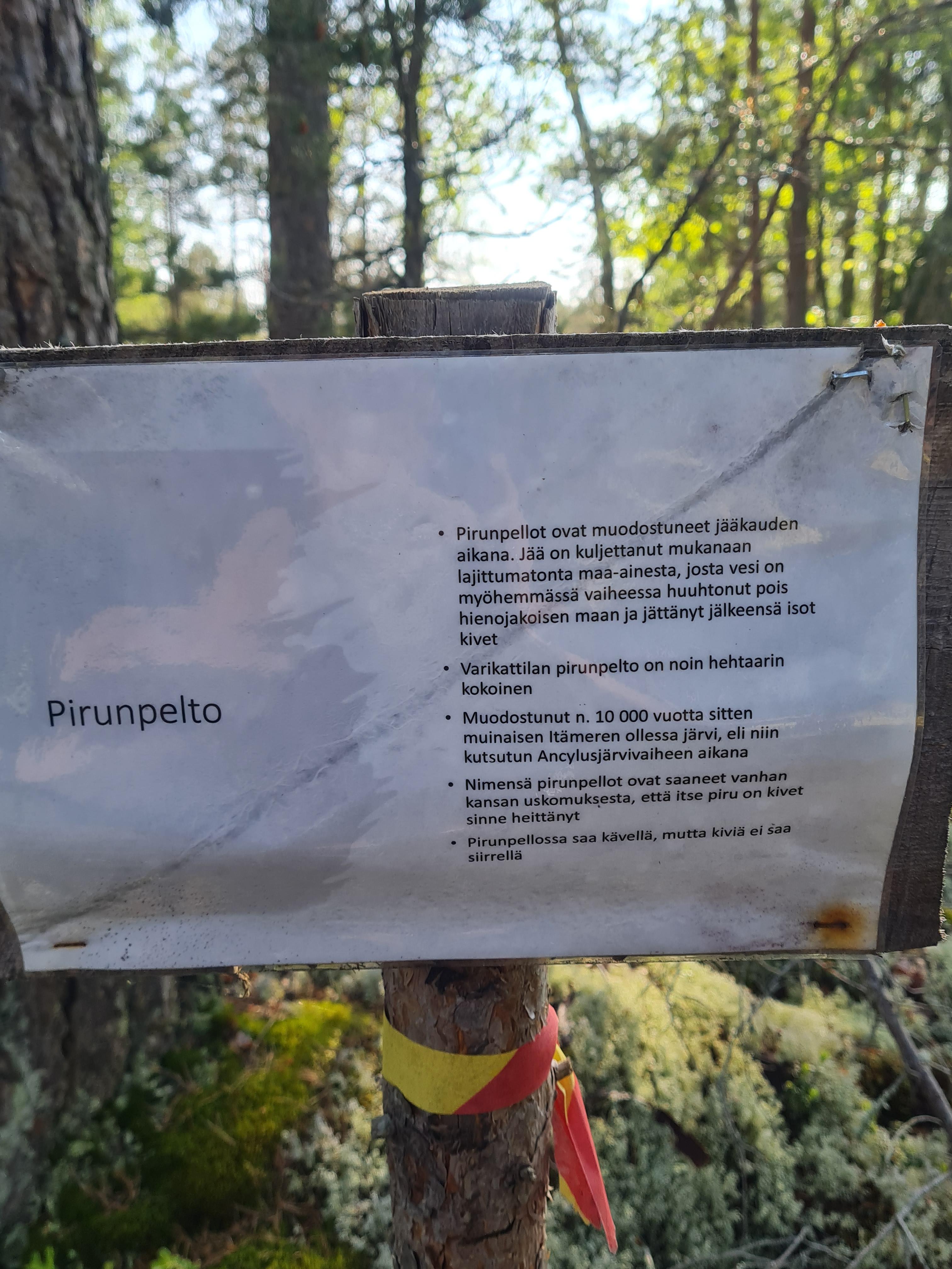 Pirunpelto