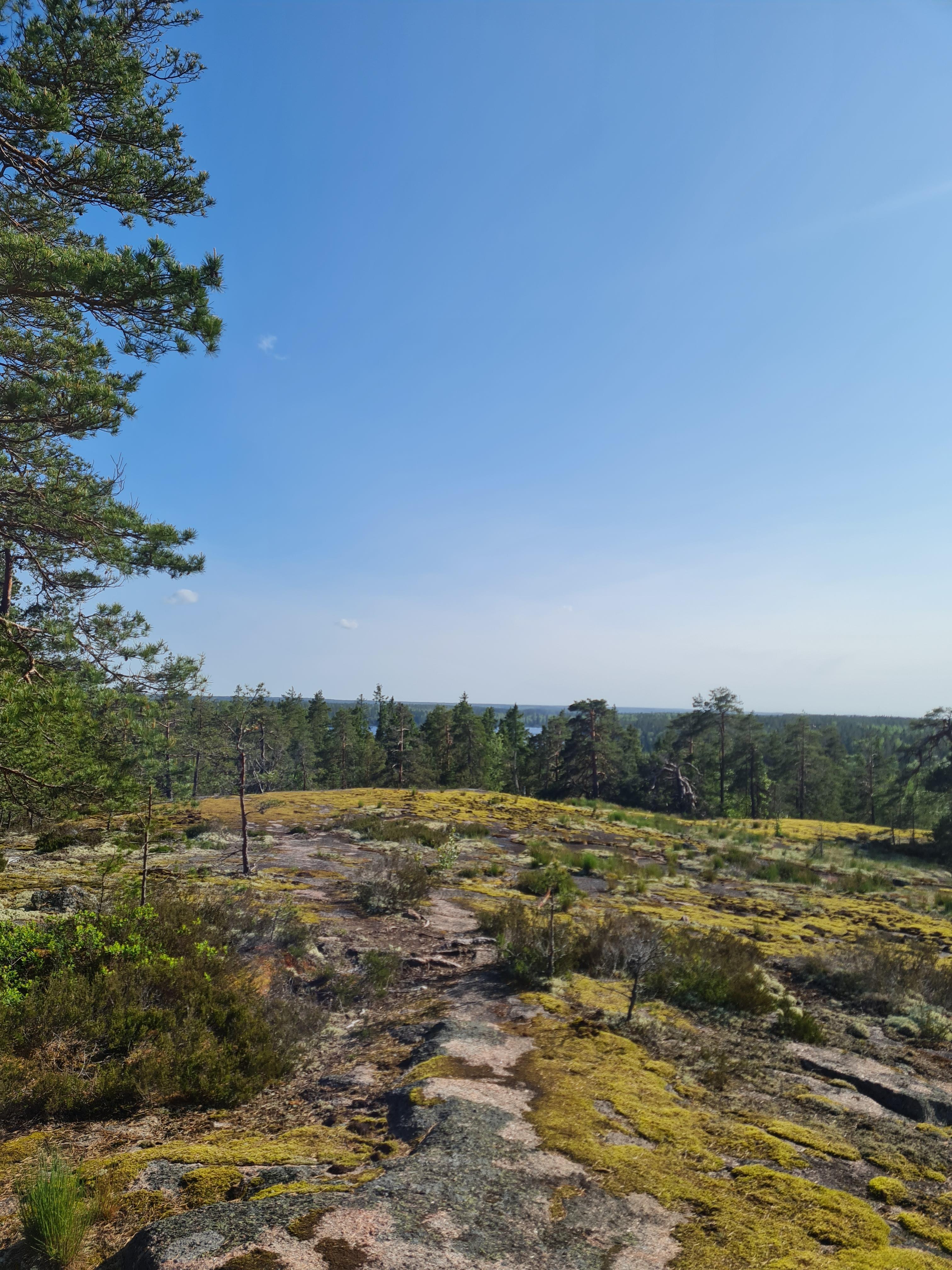 Maisemaa