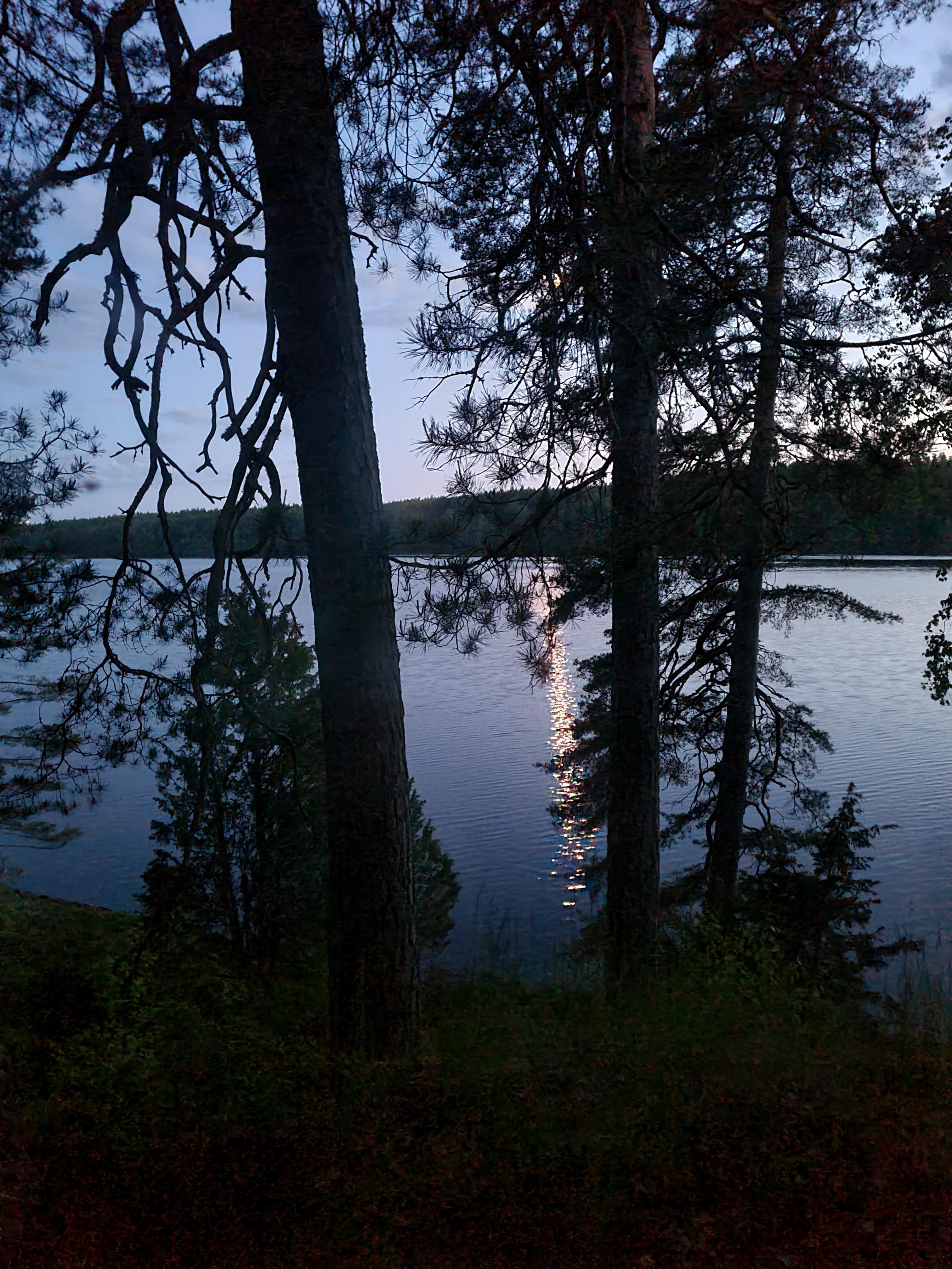 Lehmijärvi yöllä