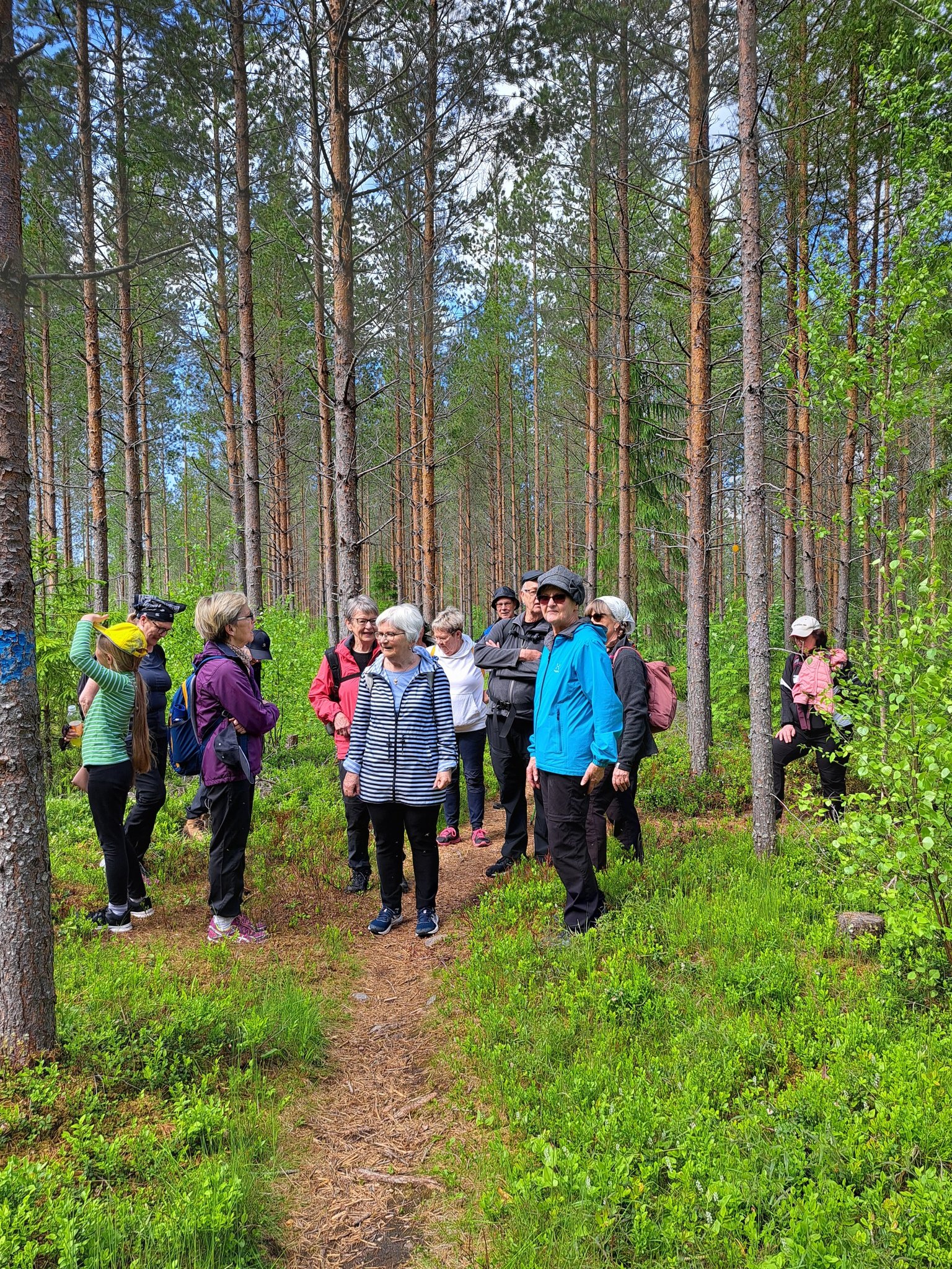 Metsäpolulla