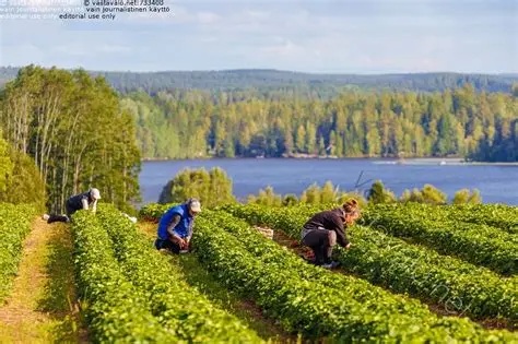 Yrjölän matkatila