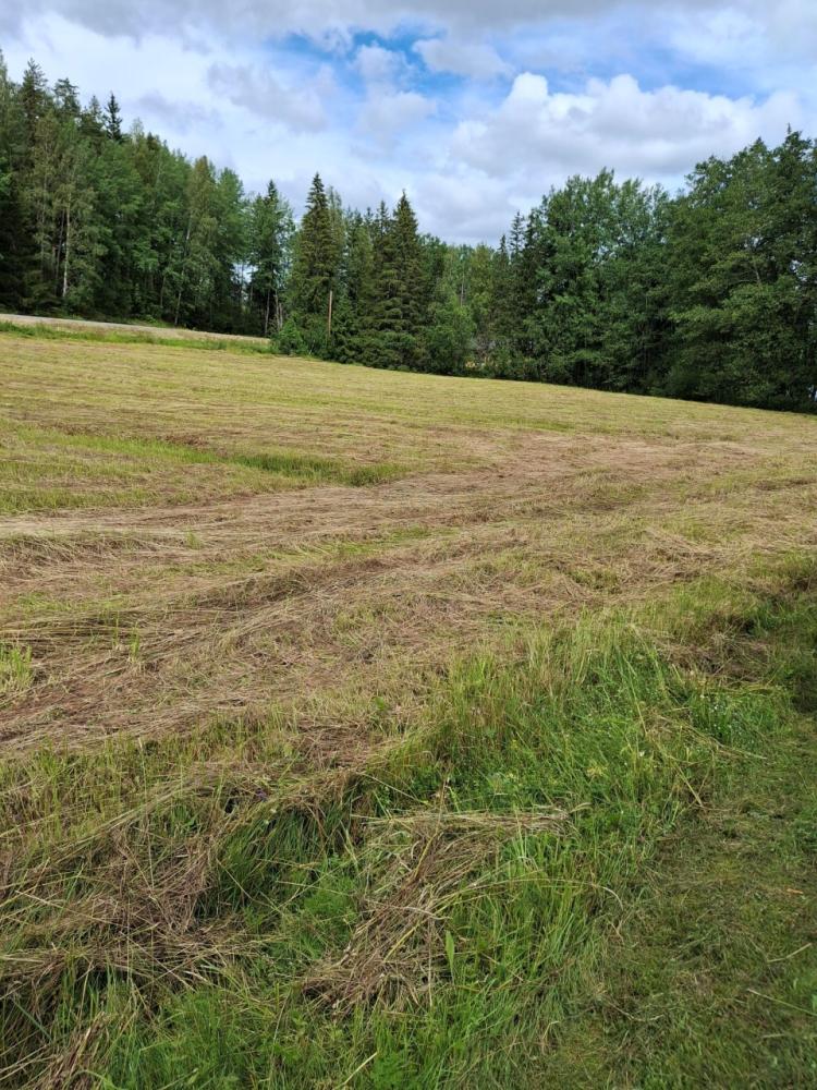 Heinäpelto