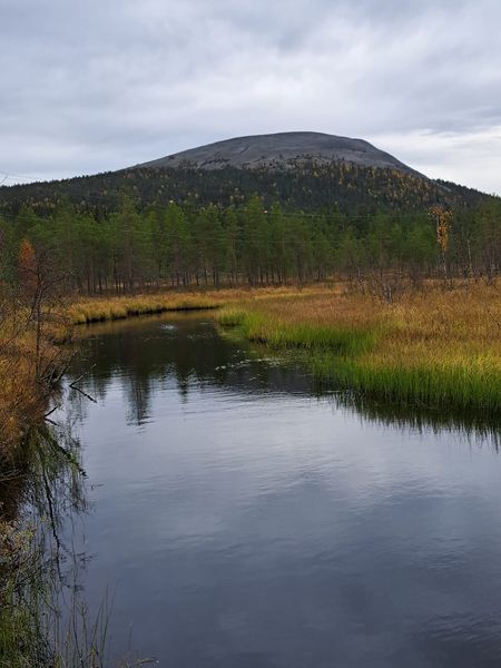 Kesänkijärvi