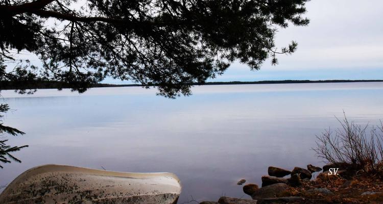 Näkymä Hirvijärvelle.