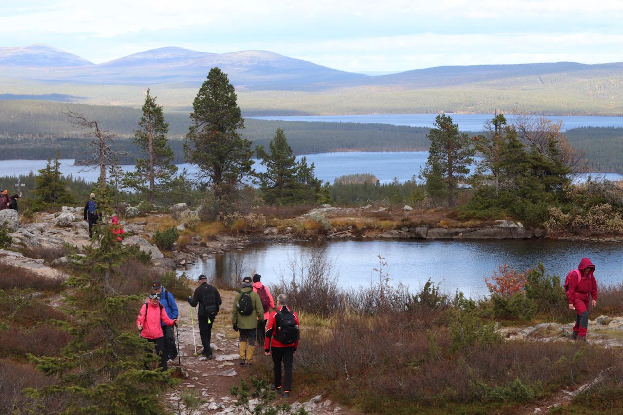 Särkitunturi