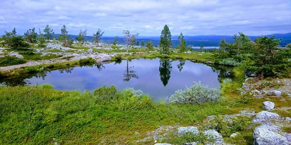 Särkituntturi