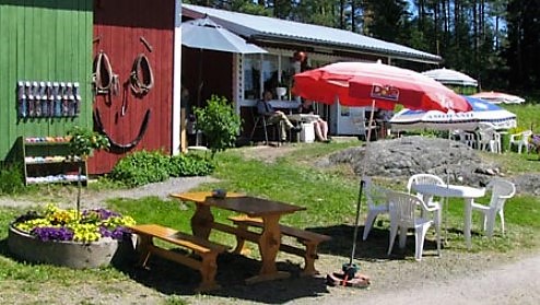 maalaiskirppis