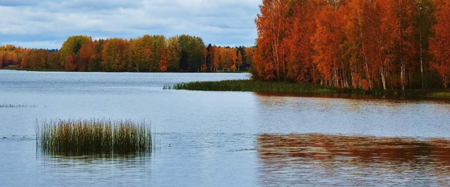 Syksyinen maisema Alajärvi