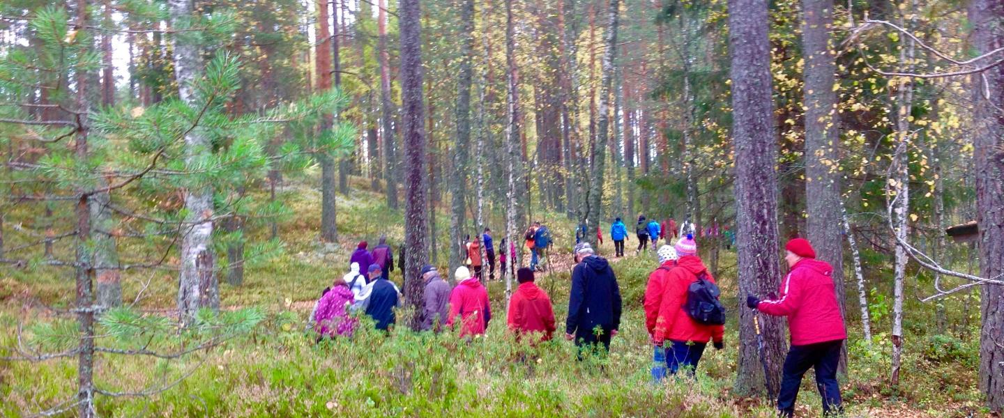 Värikkäästi pukeutuneet ulkoilijat jonossa metsäisellä polulla