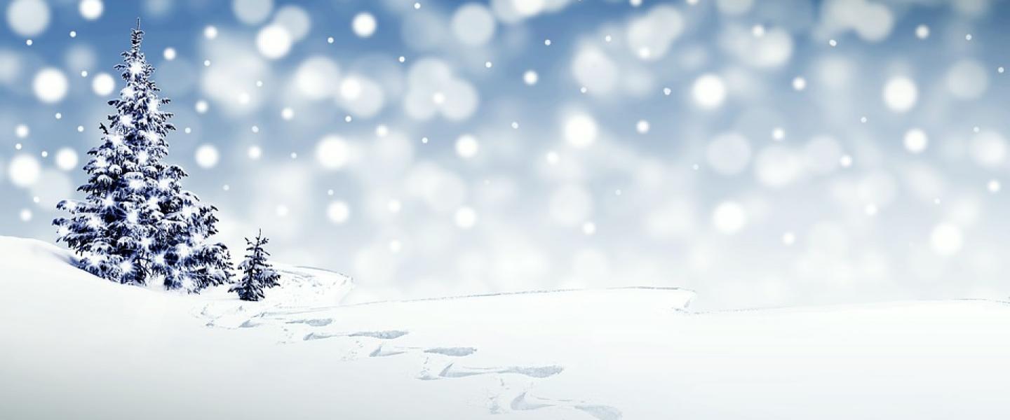 Hyvää ja rauhallista joulua !