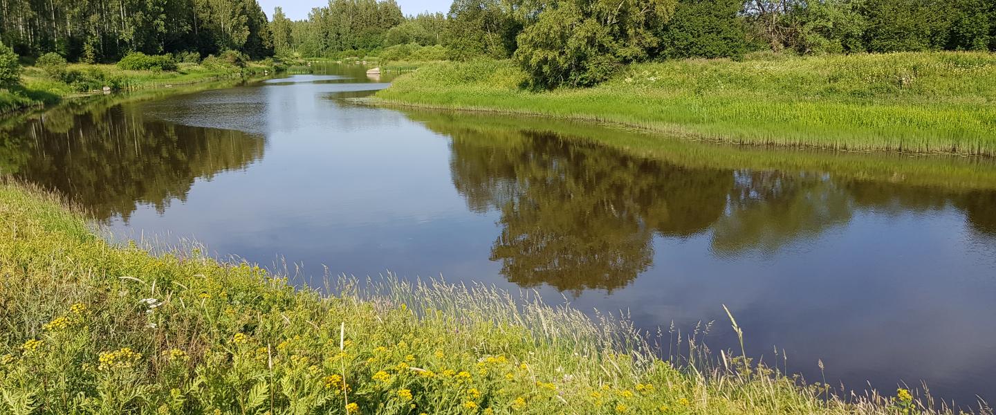 jokimaisema