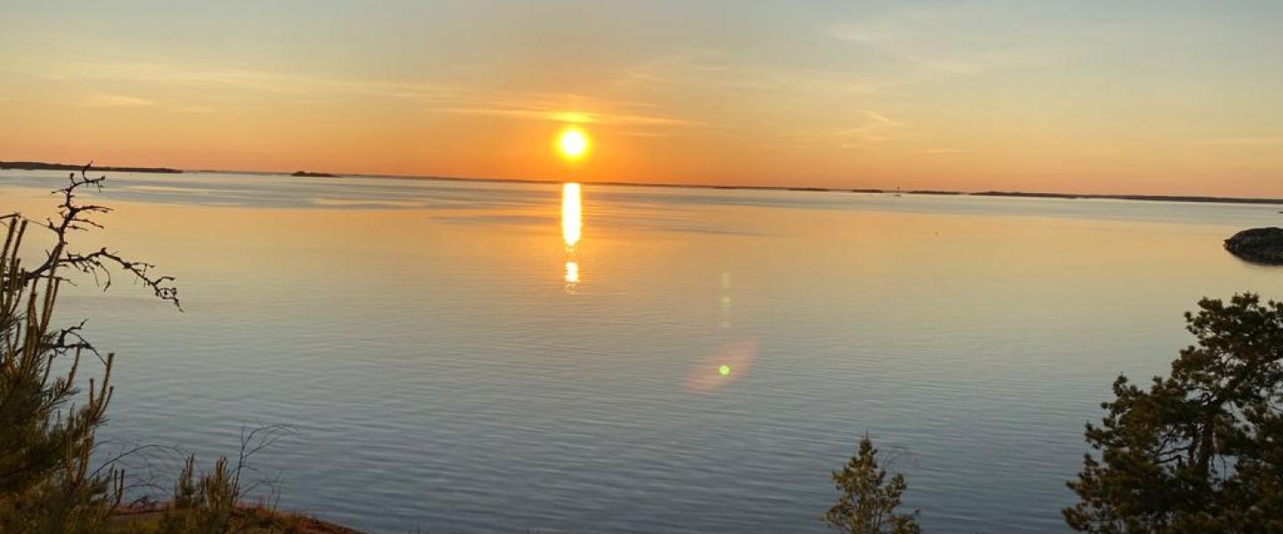 Ilta-auringossa...