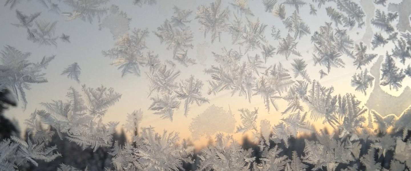 pakkasen tekemiä kuuurankukkia