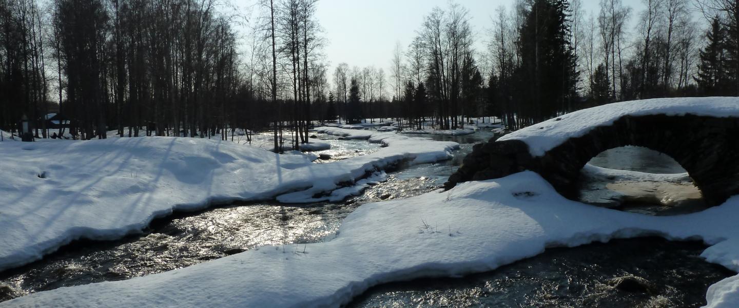 Siikakoski