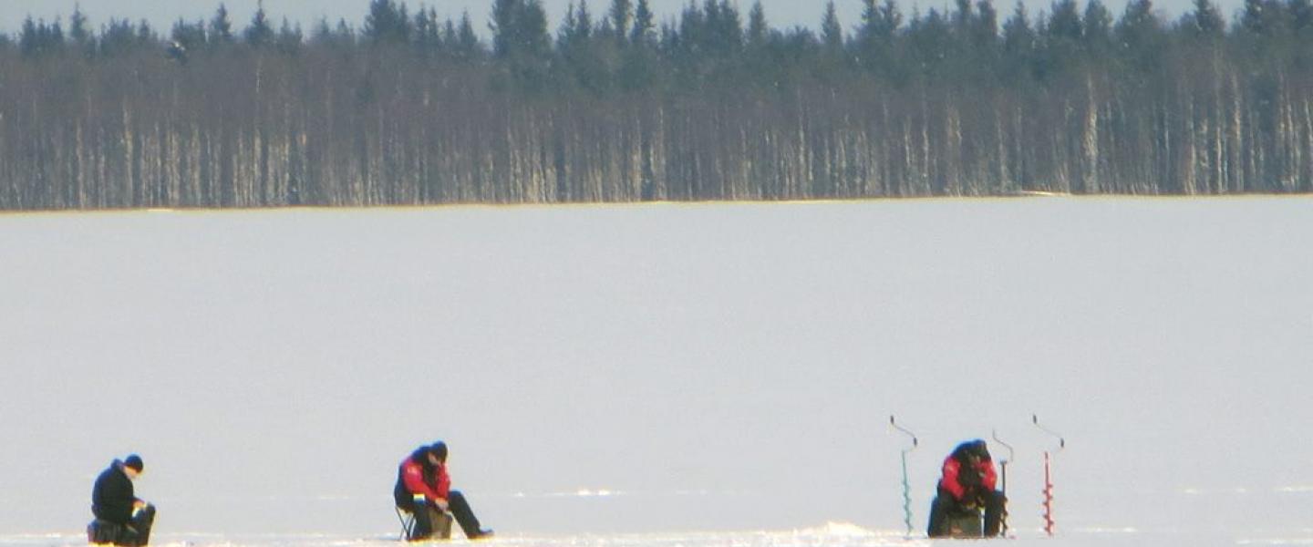 Sasin pilkkikilpailut