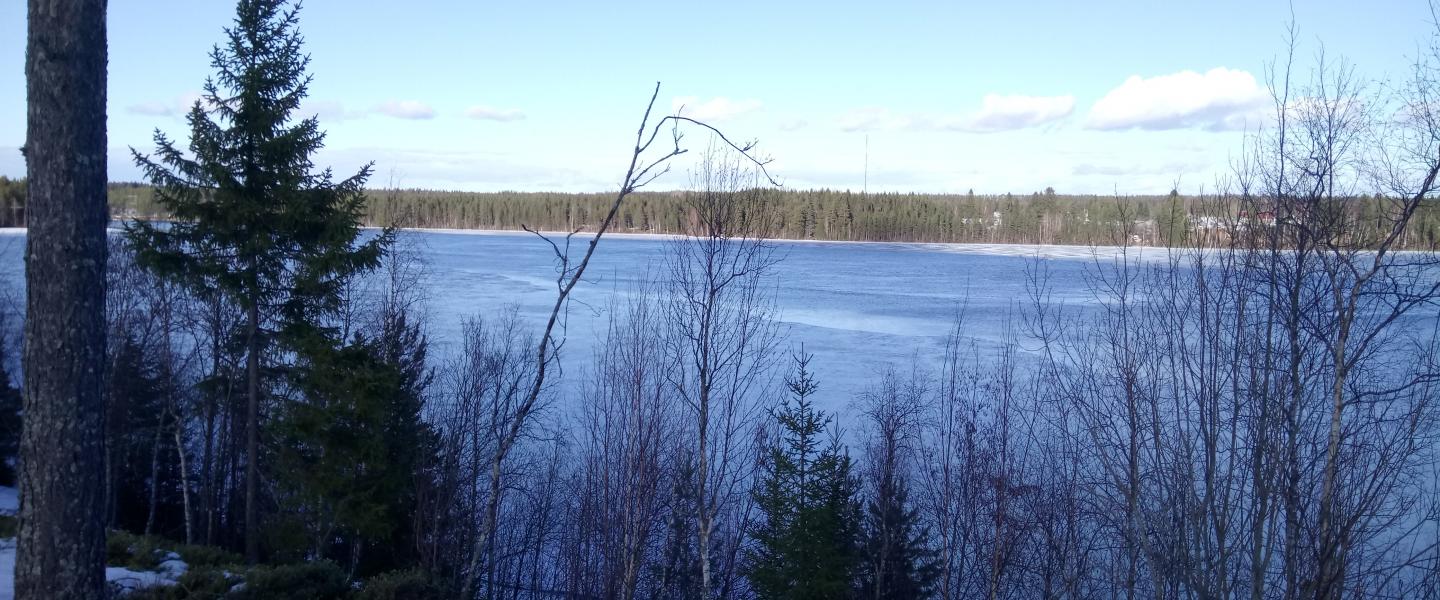 Huhtikuu2021 Muhos Oulujoki