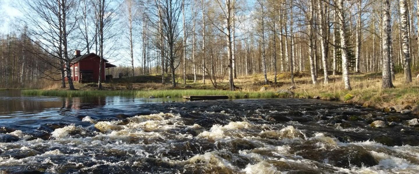 keväinen kuohuva koski