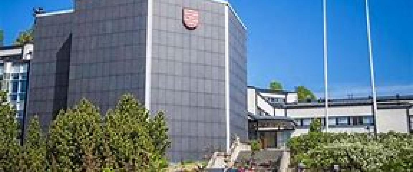 viitasaari