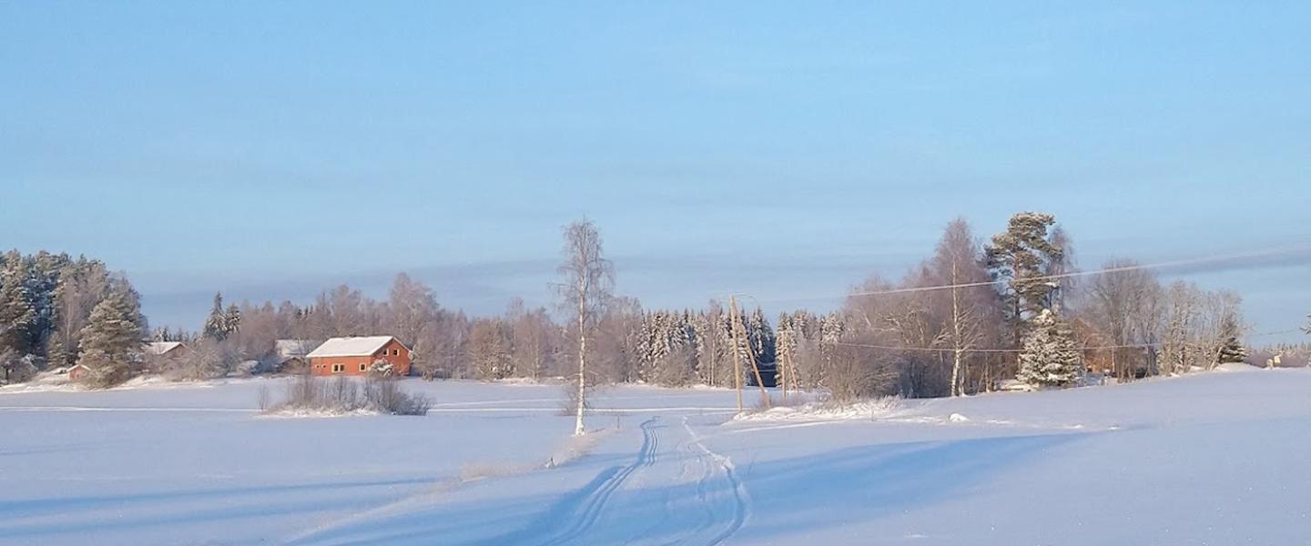 Talvimaisema Murtolahdesta