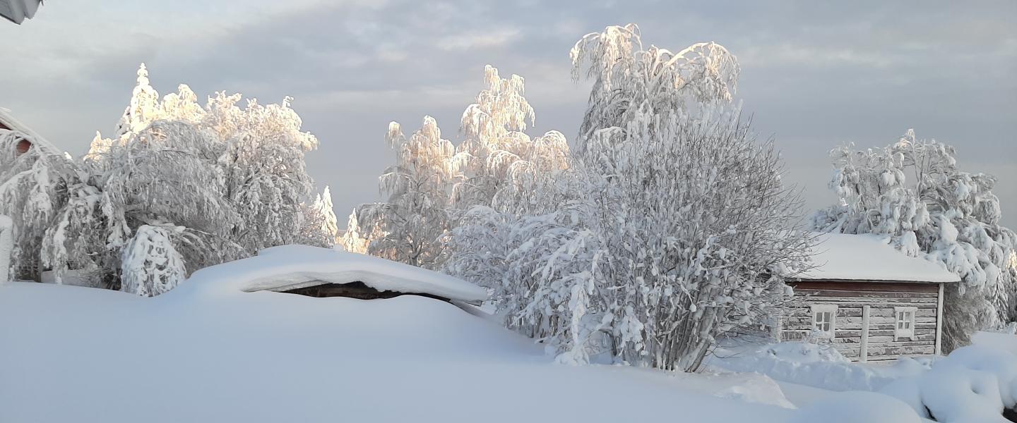 Valo lisääntyy1