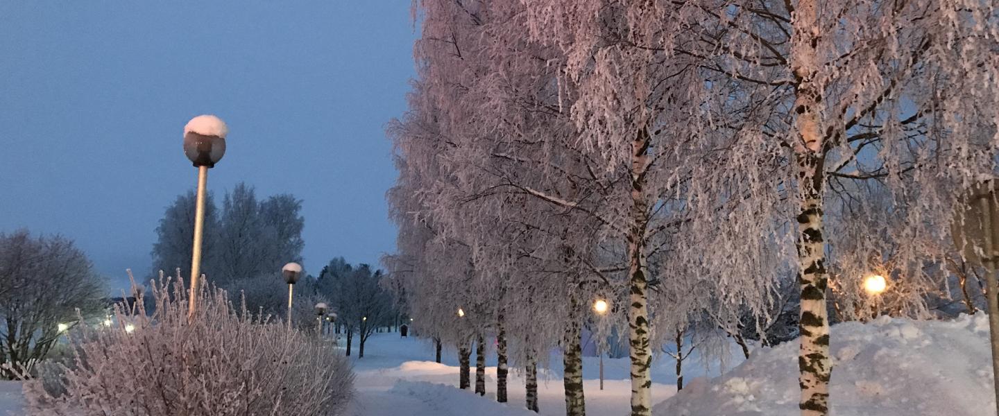 Lappajärvi talvikuva kuvituskuva