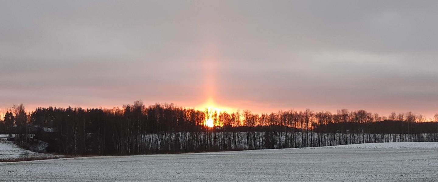 laskeva aurinko pellon takana